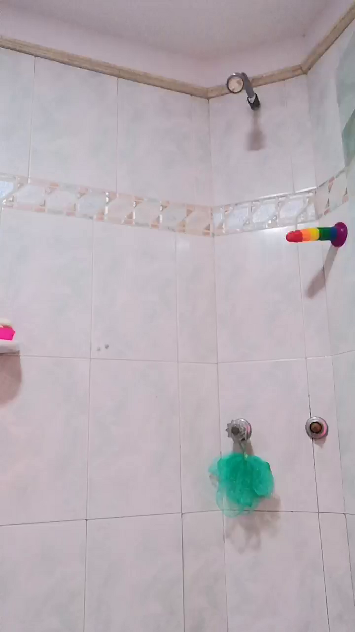 ShagiAmir