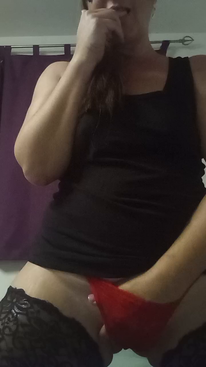 swiss_bunny