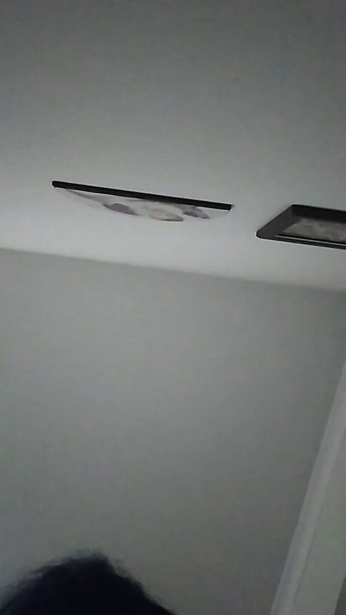 vogliadi6