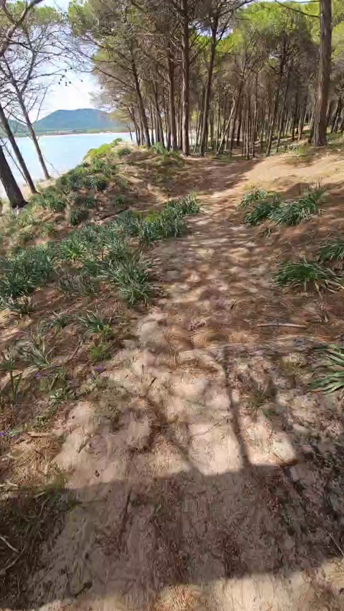 max18018