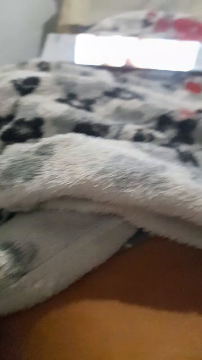 Prendidafuego