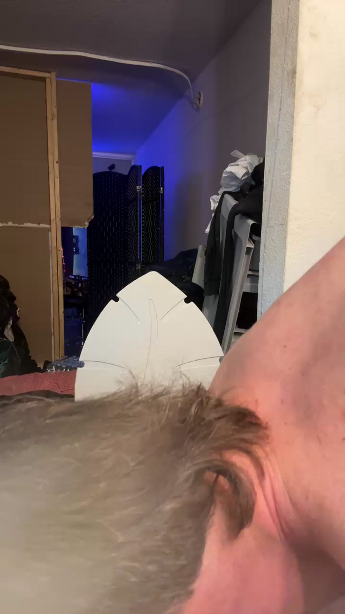 notagainagain4