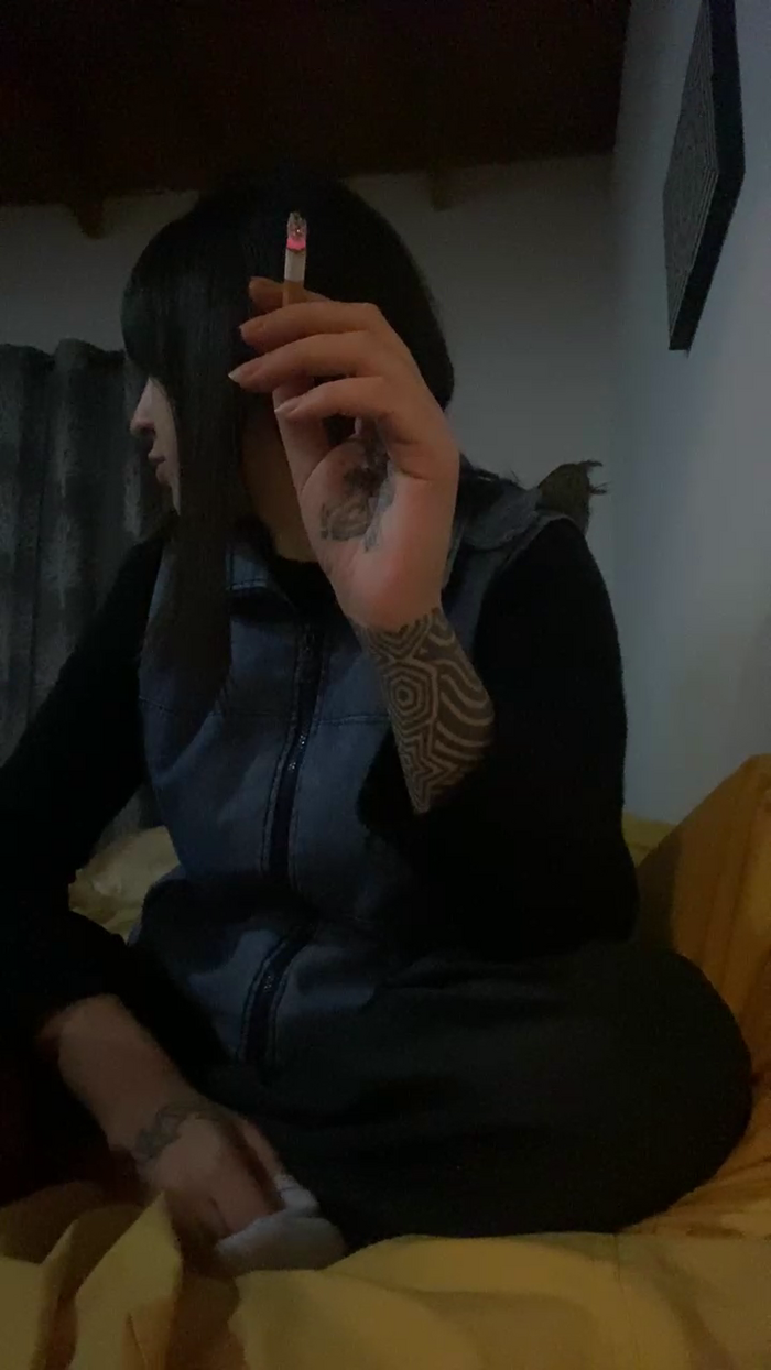 molicitaorigi