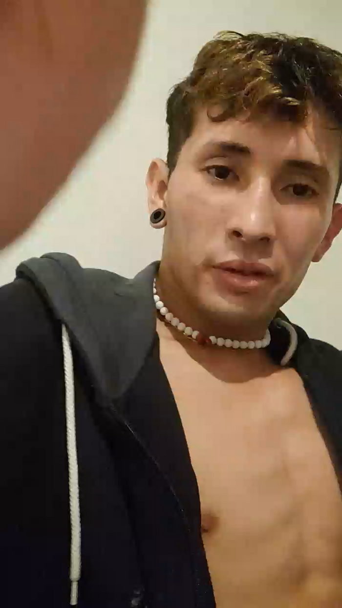 Elnenejapi