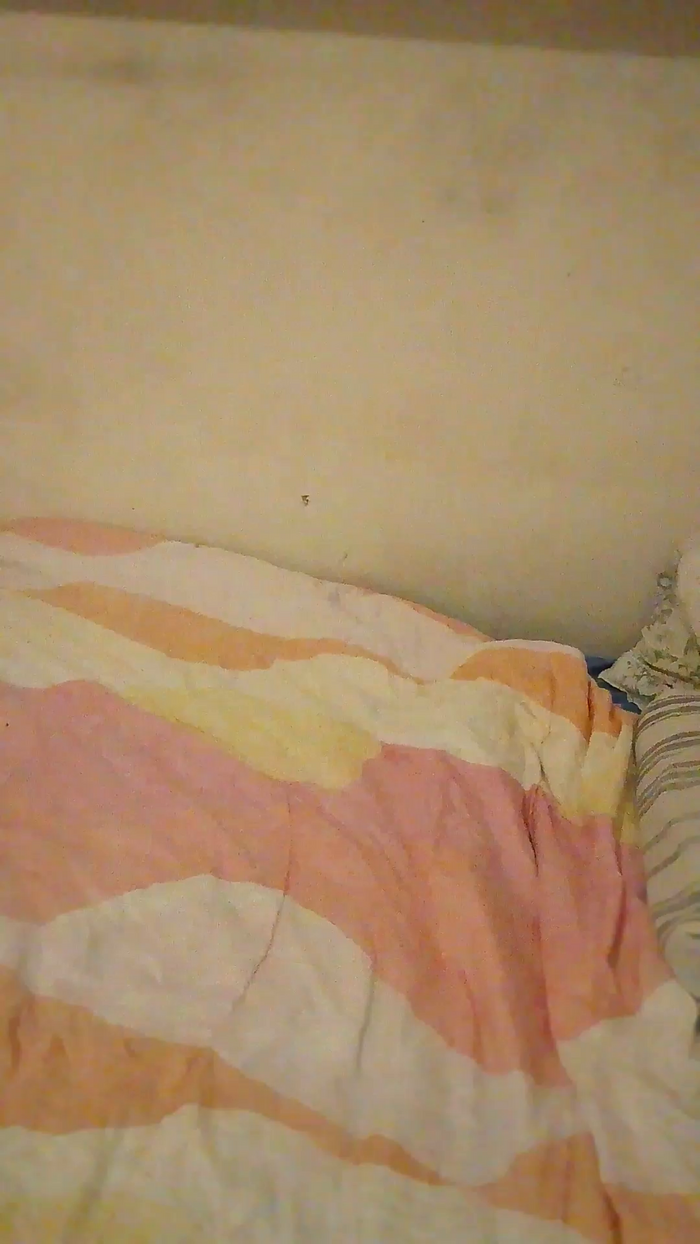 martiporntrann5