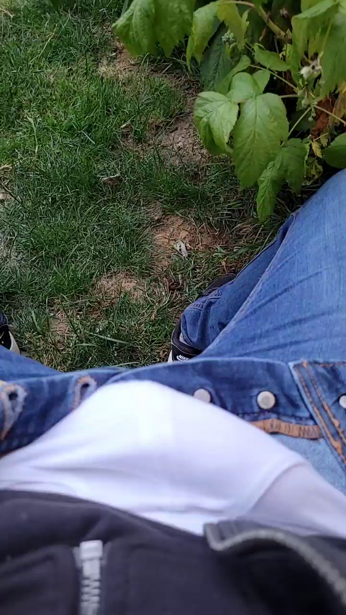 tomsauwer