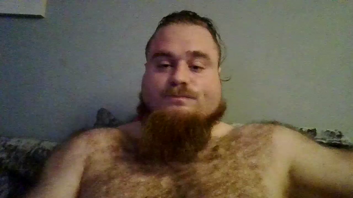 viking_skol4