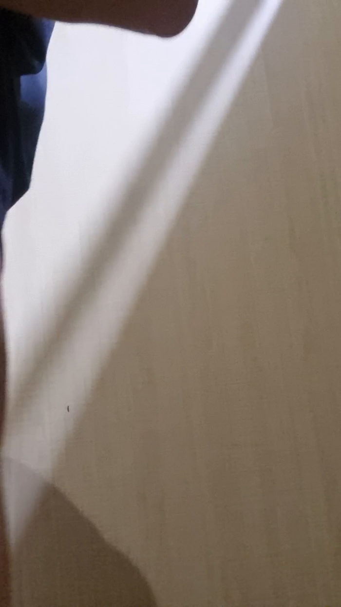 Paulhot18