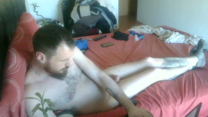 vikingo_41