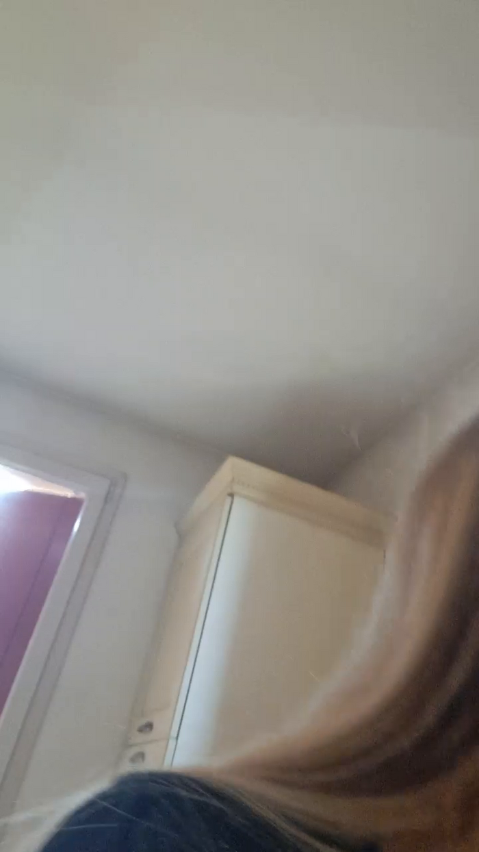 orchideahot