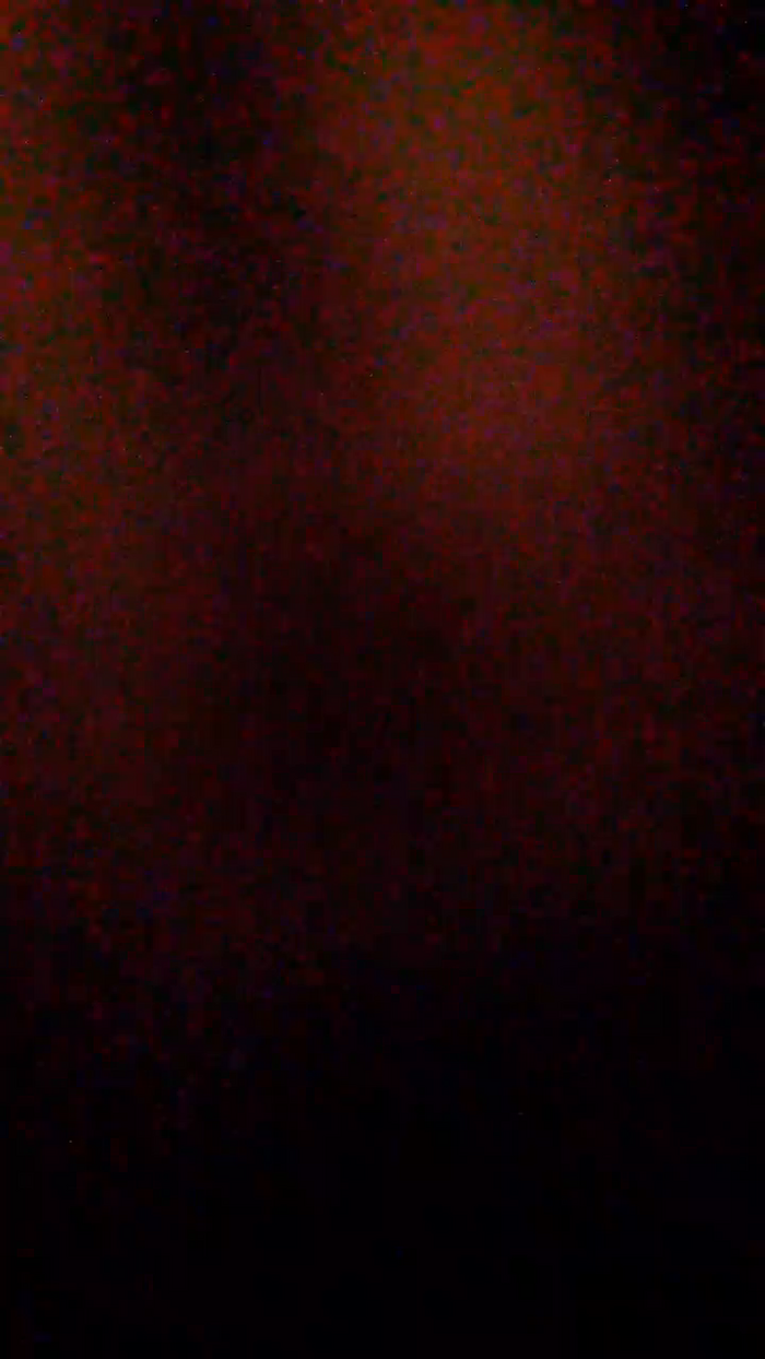 Romaneya28