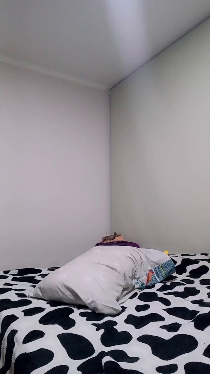 luna_tejedora