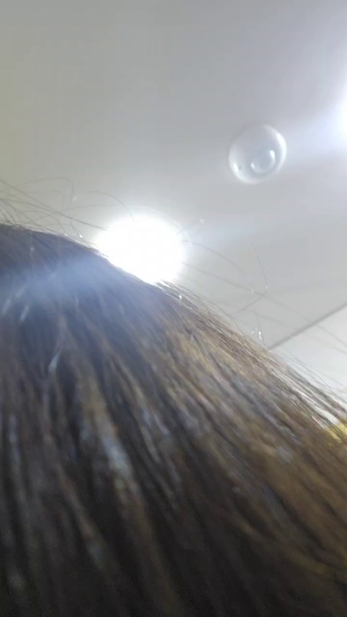 Jade_Zephyra