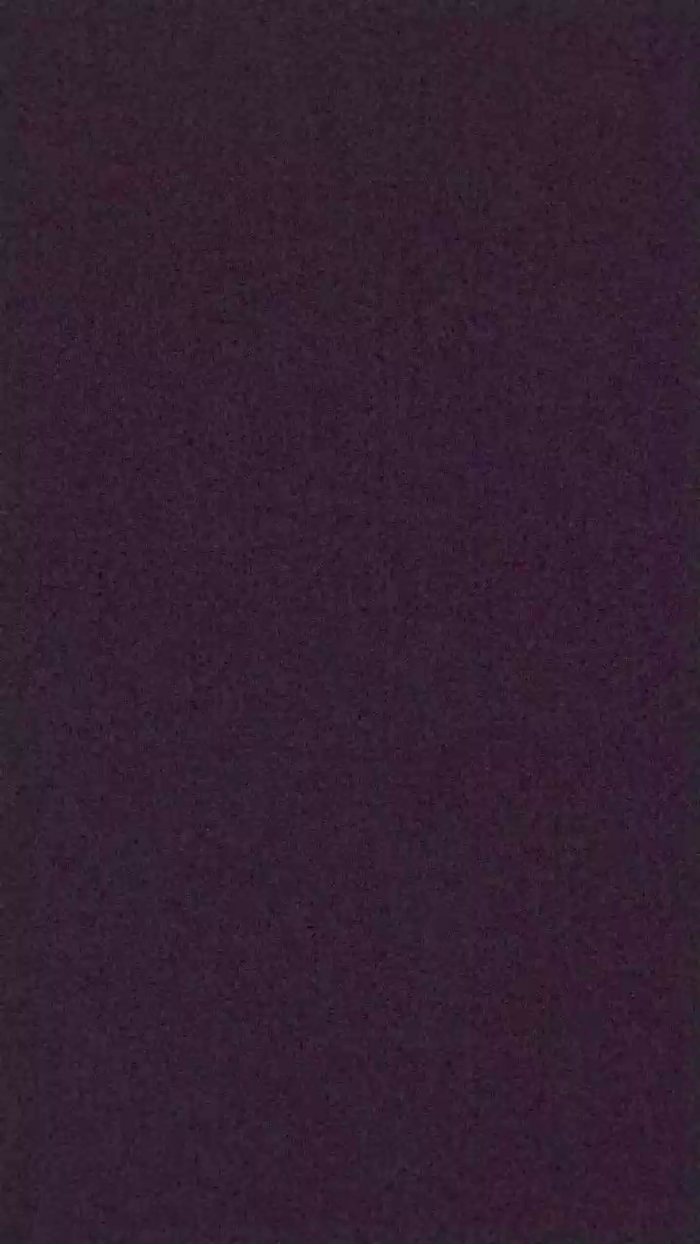noidueincoppia2