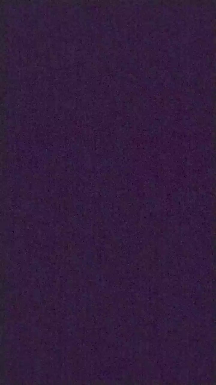 noidueincoppia2