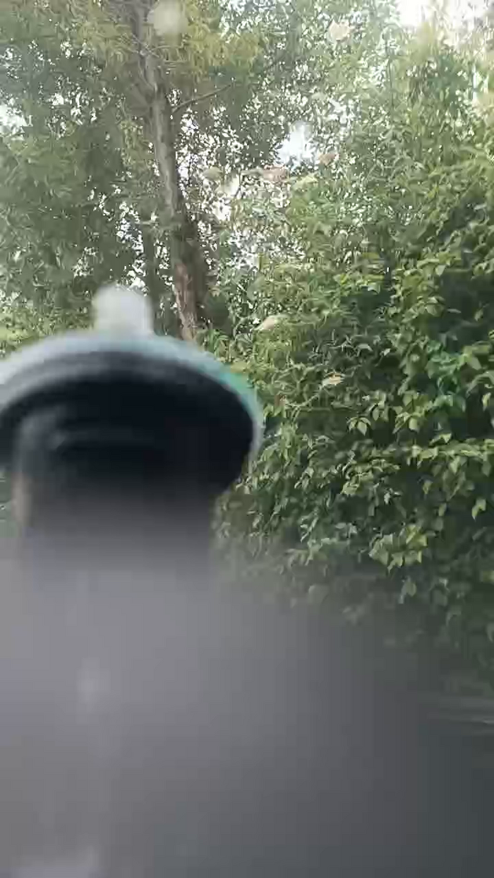 fulibal