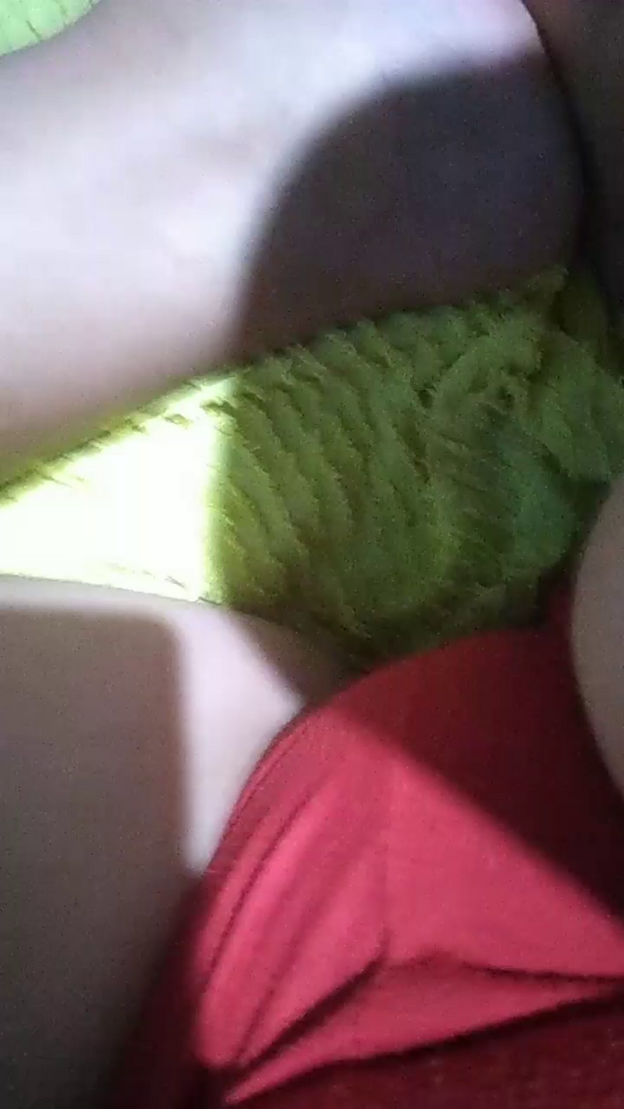 Casalsafados882