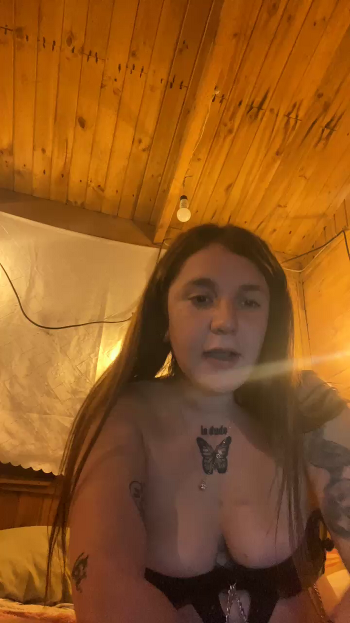 gatitabby