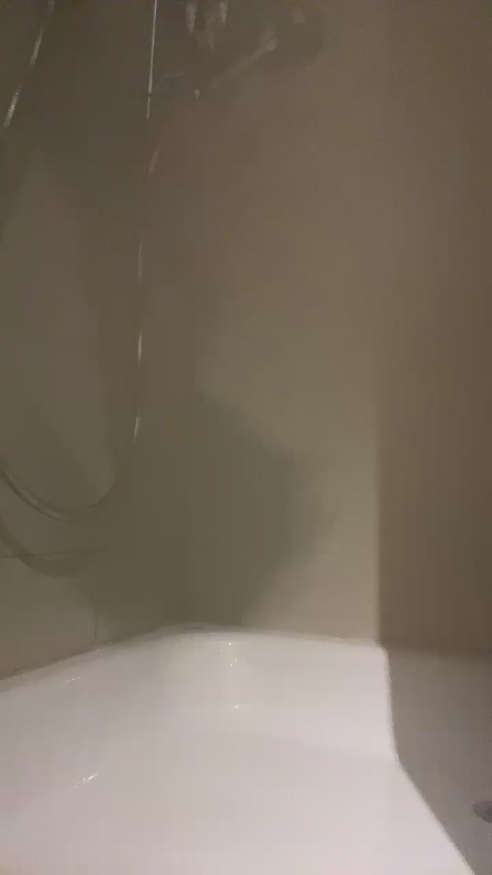 swiss_bunny