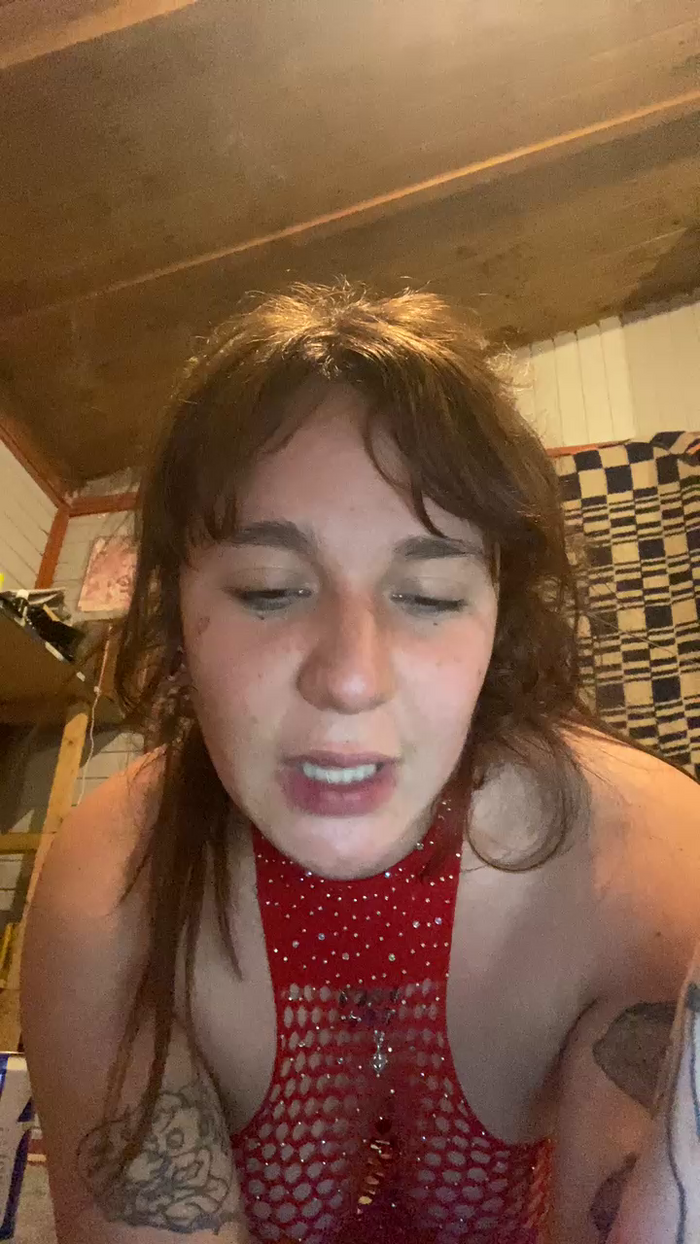 gatitabby