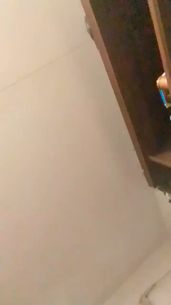 Alepaz_l