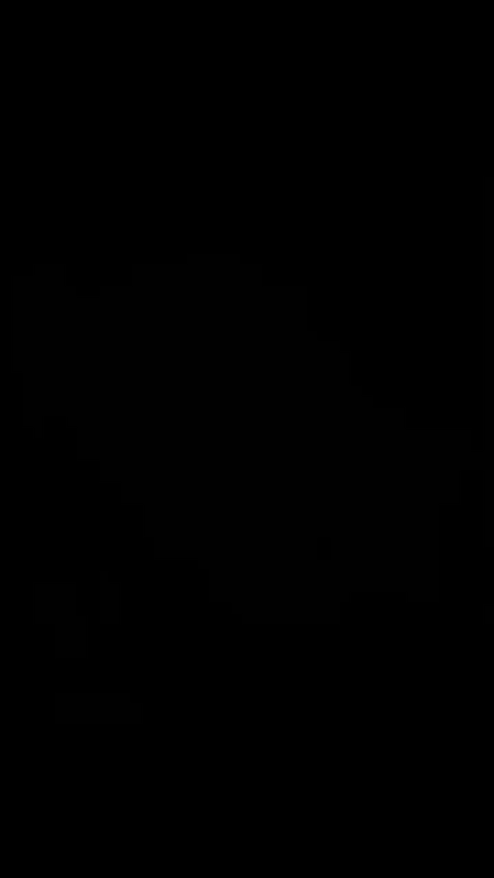 Teffi_Cat26