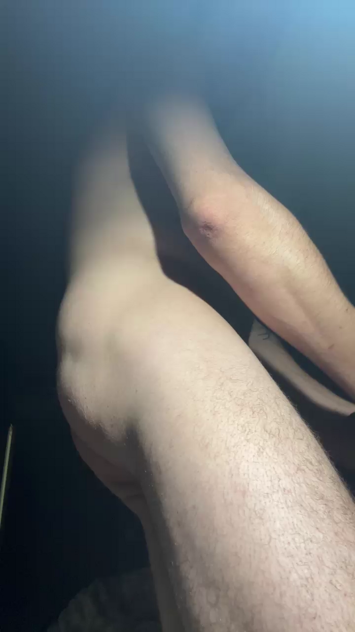Pollon29_cm