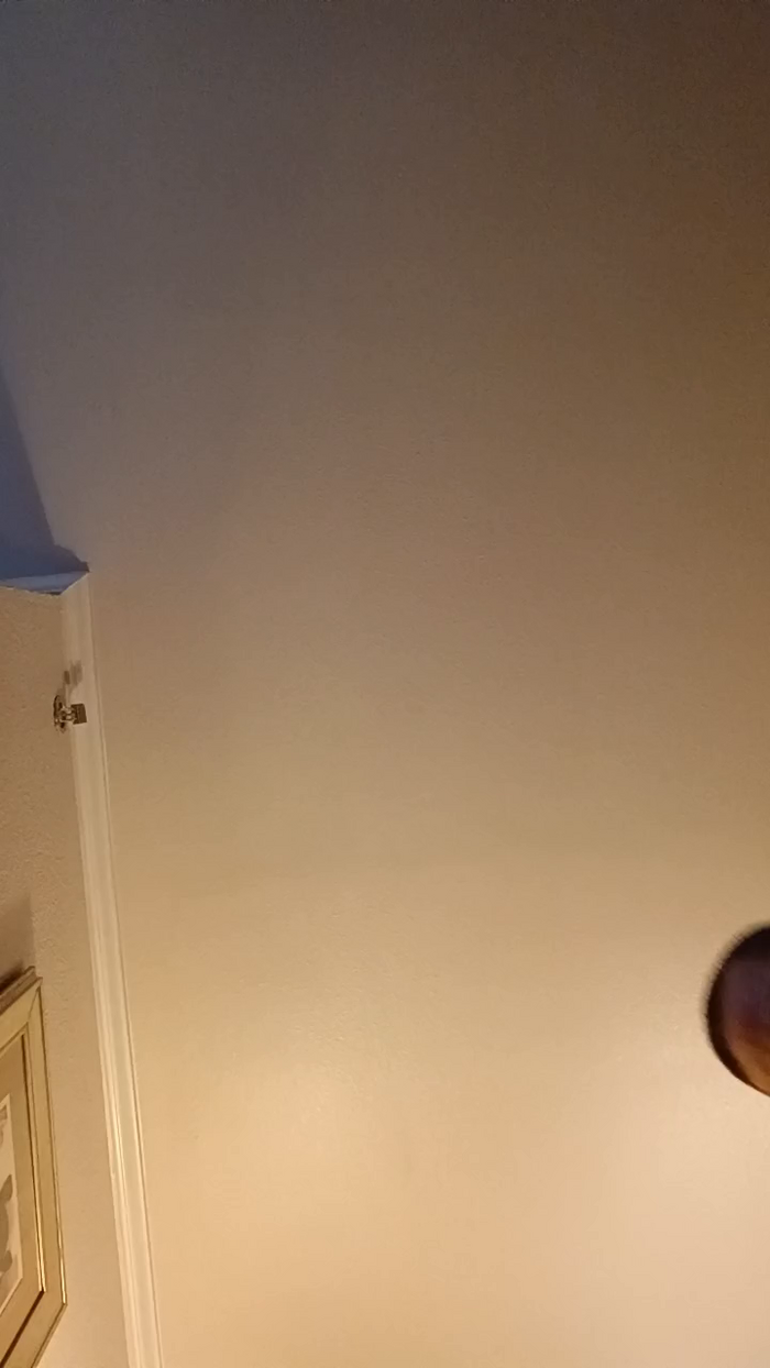 Jandgabby