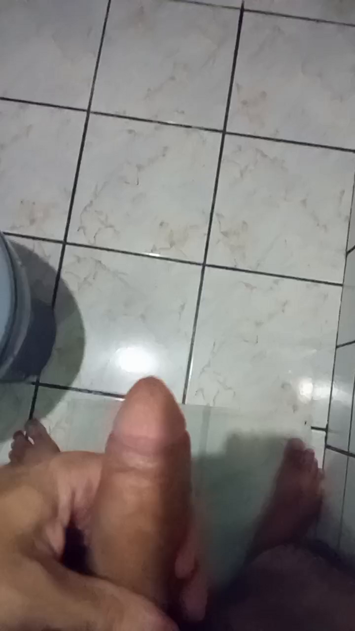 gato_de_boa