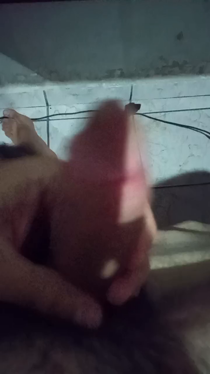 gato_de_boa