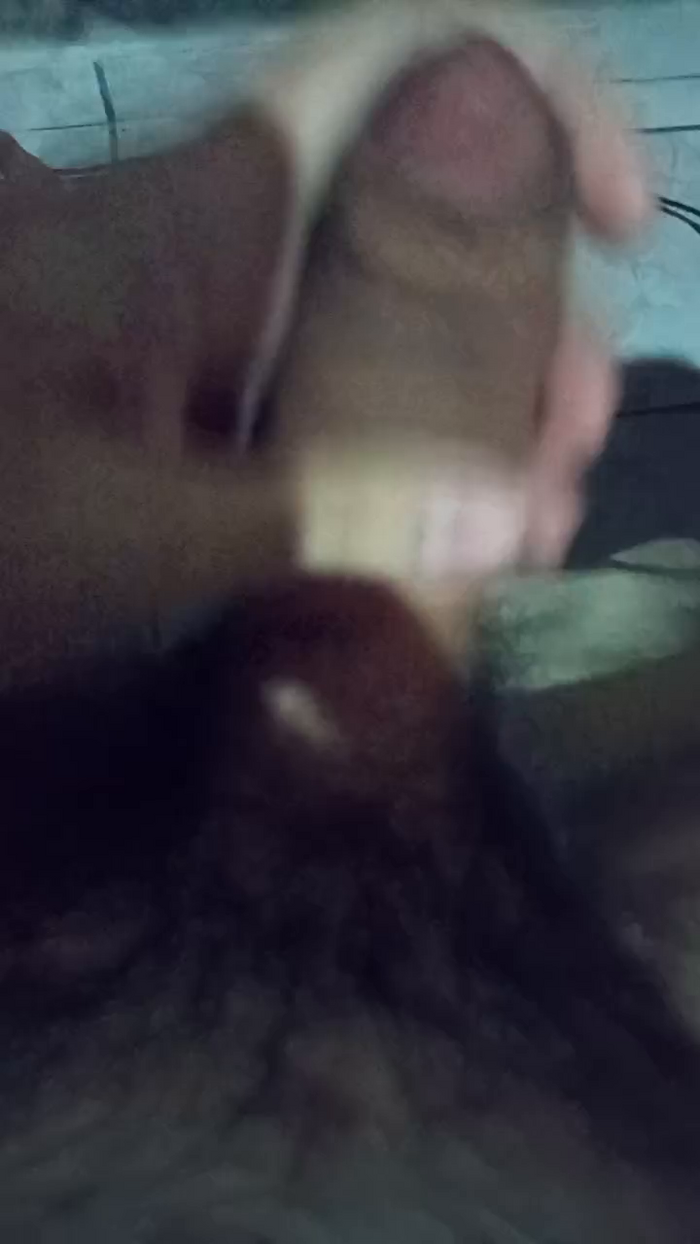 gato_de_boa