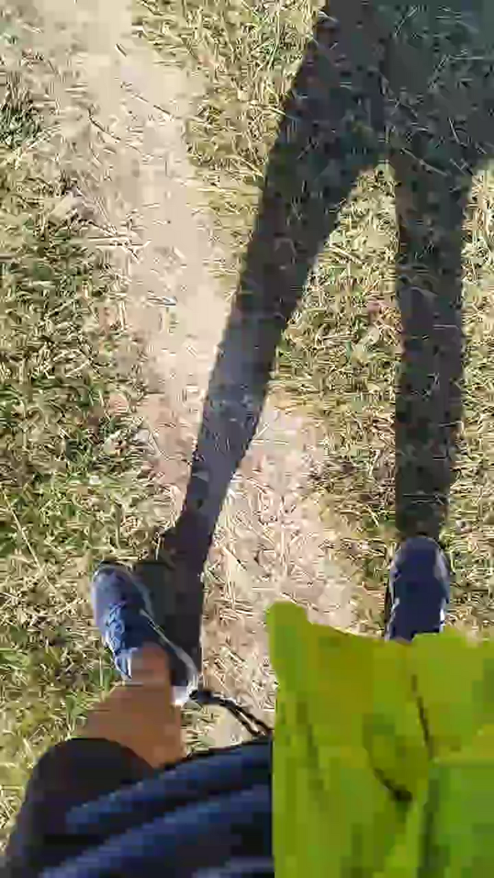 stefan519