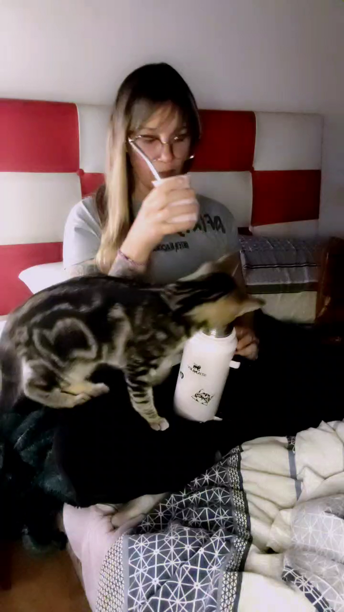 TheQueenMilf