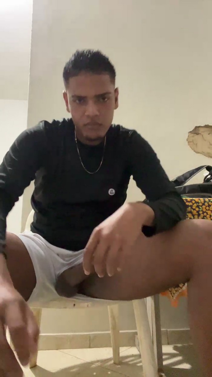 novdotado22