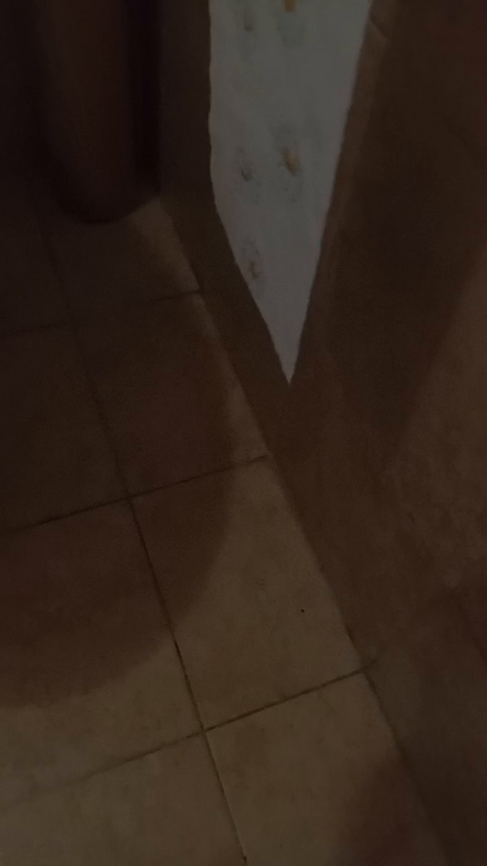 OttavioCavallo