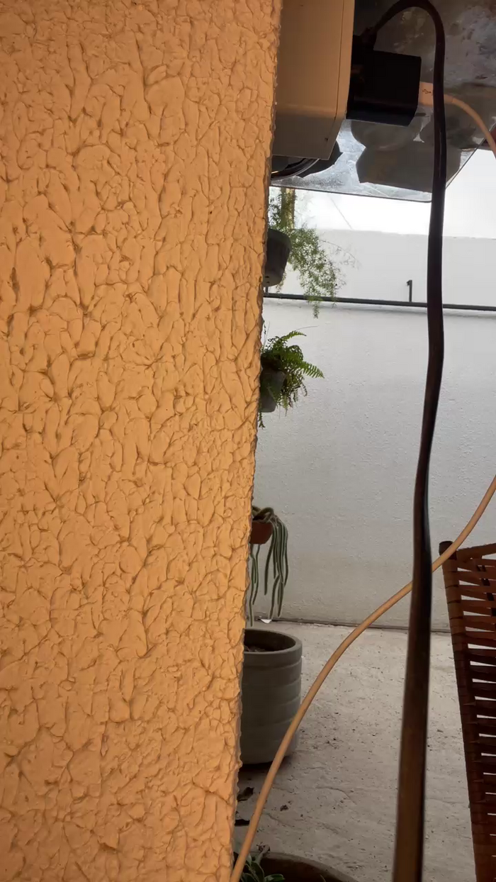 diegaogg