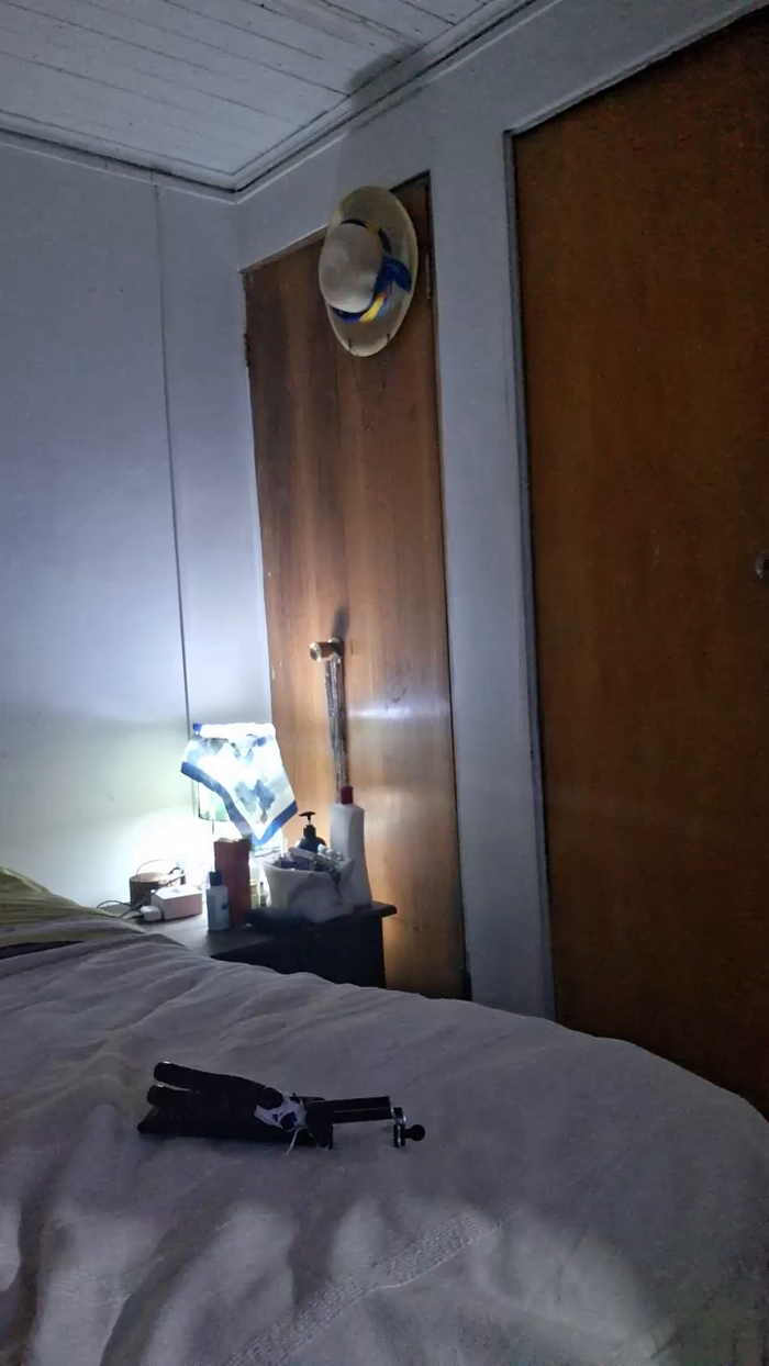 Caritovivi