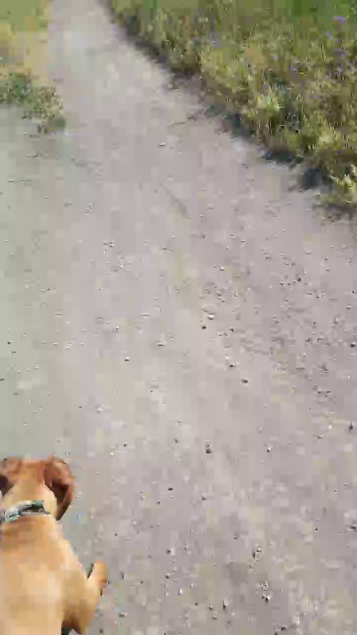 Noughtypussy