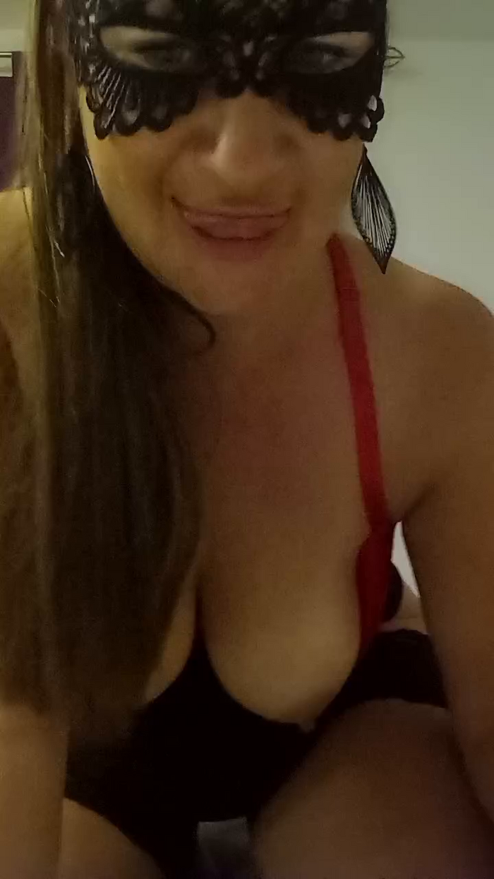 swiss_bunny