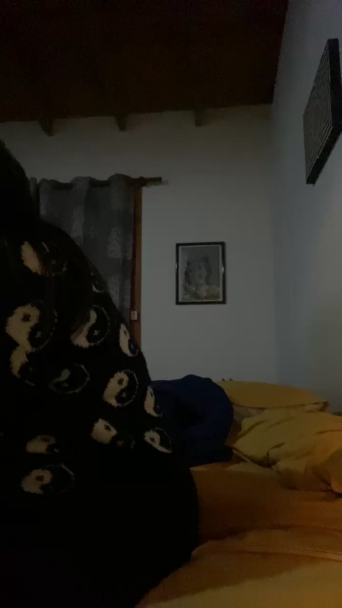 molicitaorigii5