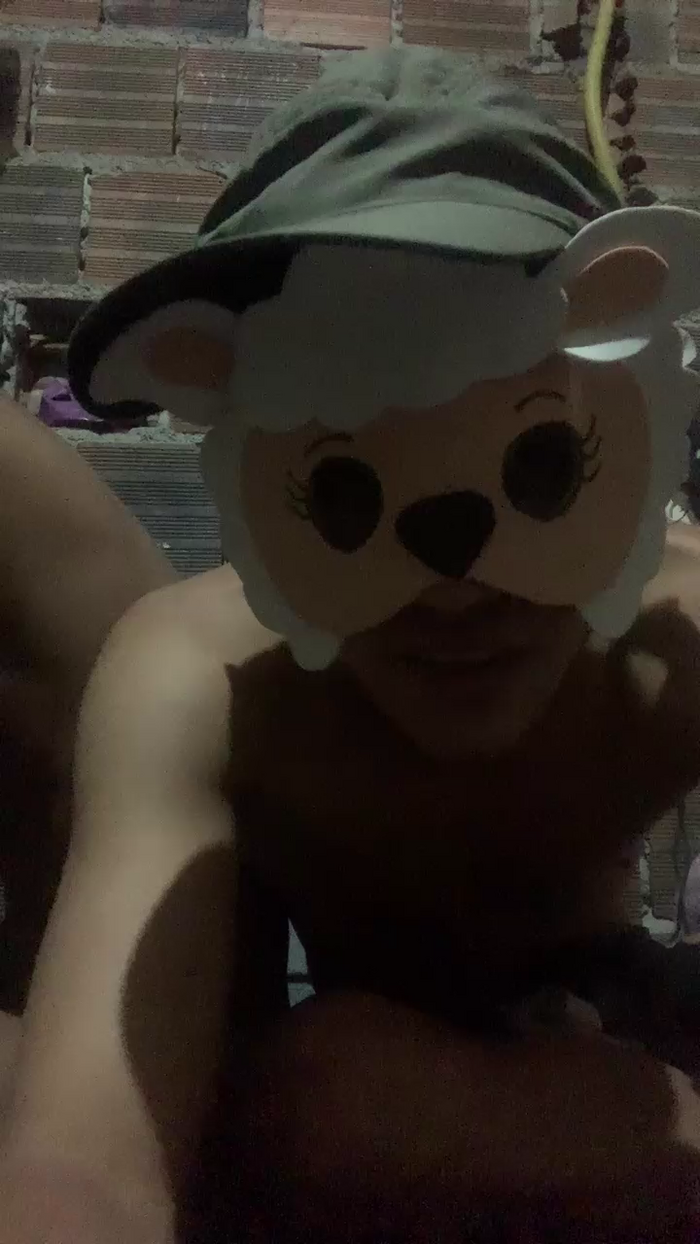 Novinrec81