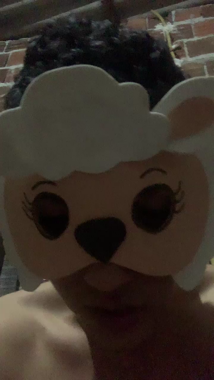 Novinrec81