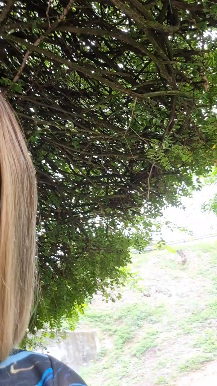 Tania__honey