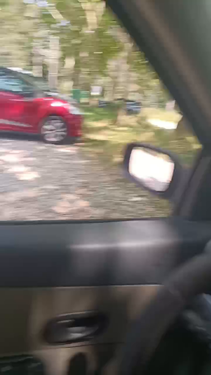 fulibal