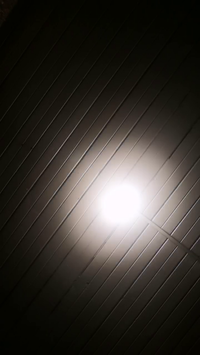 paramiposa3