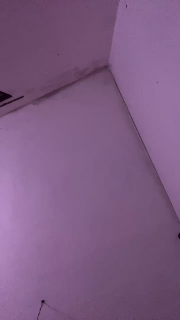 zozo6663