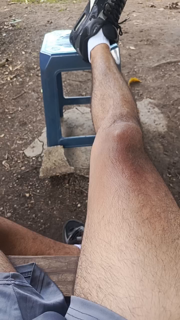 Max_hardPig