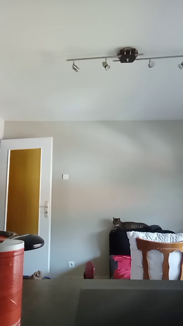 barbielacdescy4