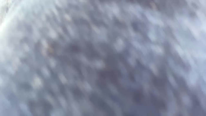 Ticklishtiger43