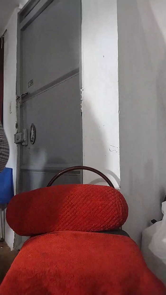 NinphGraceX
